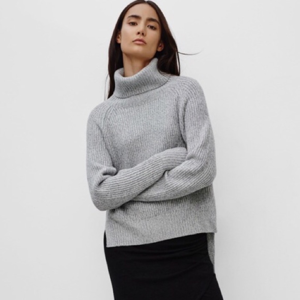 Aritzia/Wilfred Free slim Turtleneck Sweater
